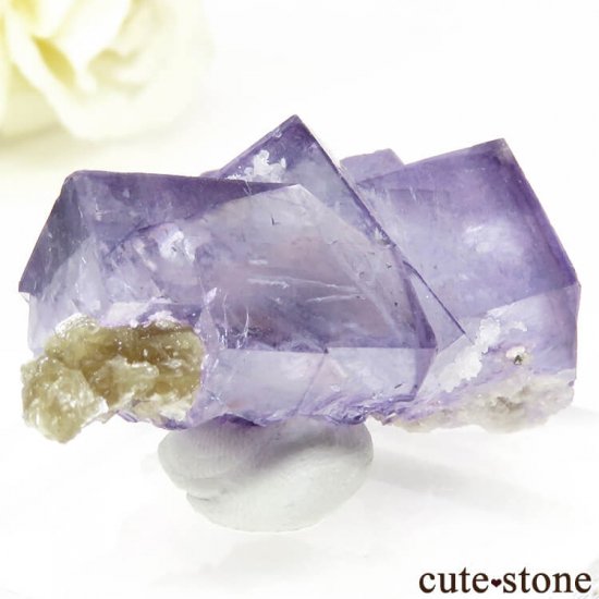 䥪󥷥 ѡץե饤Ȥη뾽ʸС32gμ̿1 cute stone