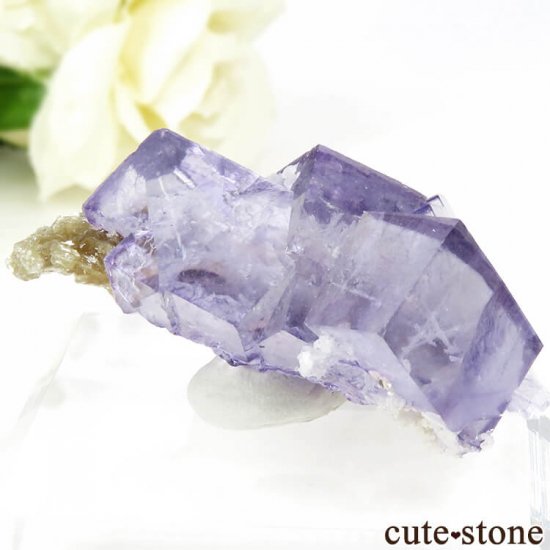 䥪󥷥 ѡץե饤Ȥη뾽ʸС32gμ̿2 cute stone