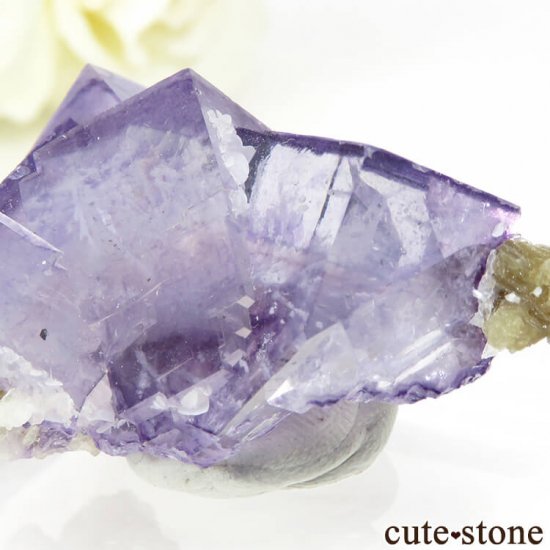 䥪󥷥 ѡץե饤Ȥη뾽ʸС32gμ̿4 cute stone