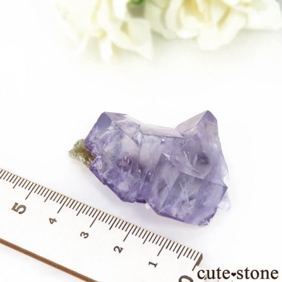 䥪󥷥 ѡץե饤Ȥη뾽ʸС32gμ̿5 cute stone