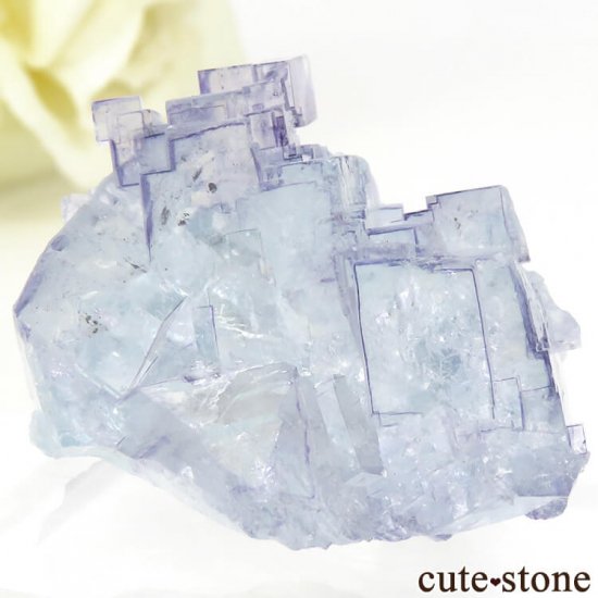 䥪󥷥 ֥롼ե饤Ȥη뾽ʸС28gμ̿0 cute stone
