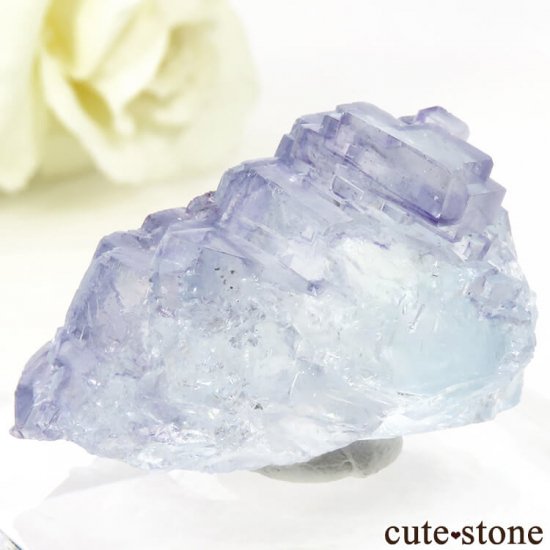 䥪󥷥 ֥롼ե饤Ȥη뾽ʸС28gμ̿1 cute stone