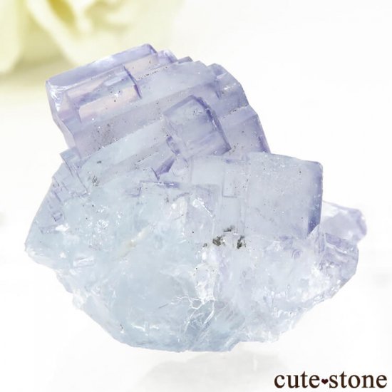 䥪󥷥 ֥롼ե饤Ȥη뾽ʸС28gμ̿2 cute stone