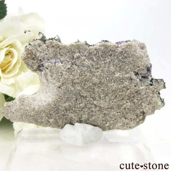 䥪󥷥 ѡץե饤ȡ徽դ뾽ʸС31gμ̿4 cute stone