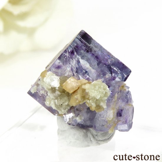 䥪󥷥 ѡץե饤Ȥη뾽ʸС2.6gμ̿1 cute stone