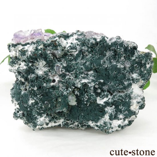 ֥饸뻺᥸ȡ륵Ȥդ 244gμ̿2 cute stone