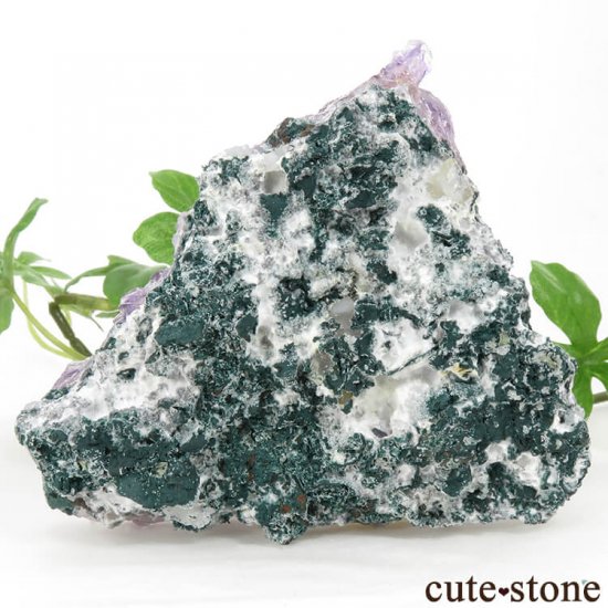 ֥饸뻺᥸ȡ륵Ȥդ 197gμ̿2 cute stone