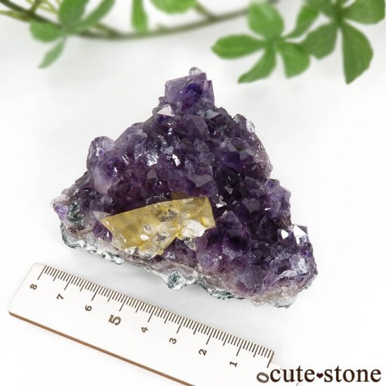 ֥饸뻺᥸ȡ륵Ȥդ 197gμ̿3 cute stone