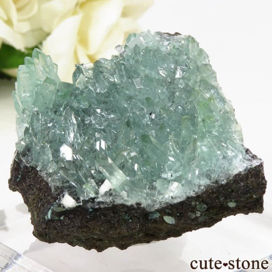  ץ͡ ꡼󥢥ݥե饤Ȥθ 40.6gμ̿0 cute stone