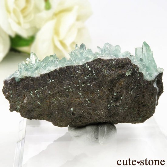  ץ͡ ꡼󥢥ݥե饤Ȥθ 40.6gμ̿1 cute stone