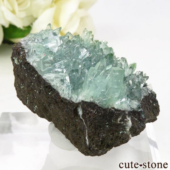  ץ͡ ꡼󥢥ݥե饤Ȥθ 40.6gμ̿2 cute stone