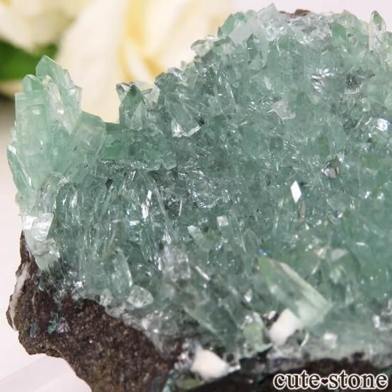  ץ͡ ꡼󥢥ݥե饤Ȥθ 40.6gμ̿3 cute stone