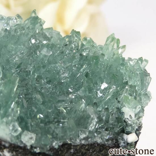  ץ͡ ꡼󥢥ݥե饤Ȥθ 40.6gμ̿4 cute stone