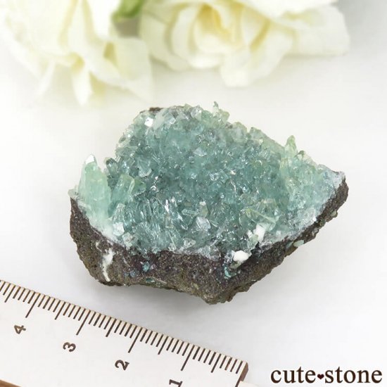  ץ͡ ꡼󥢥ݥե饤Ȥθ 40.6gμ̿5 cute stone
