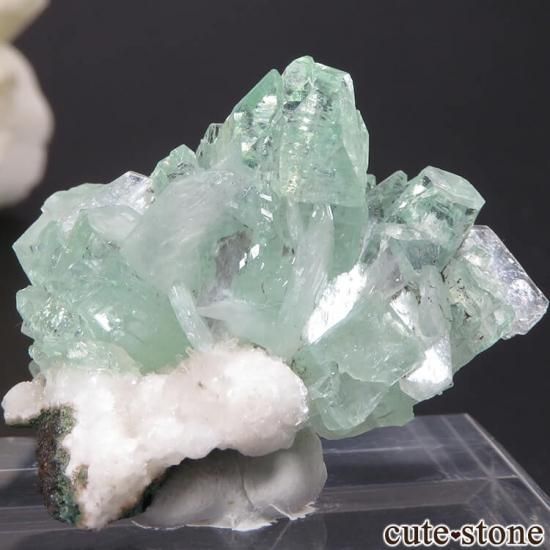  ץ͡ ꡼󥢥ݥե饤Ȥθ 15.6gμ̿1 cute stone