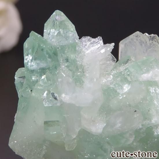  ץ͡ ꡼󥢥ݥե饤Ȥθ 21.6gμ̿1 cute stone