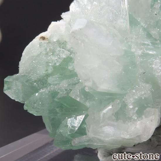  ץ͡ ꡼󥢥ݥե饤Ȥθ 21.6gμ̿3 cute stone