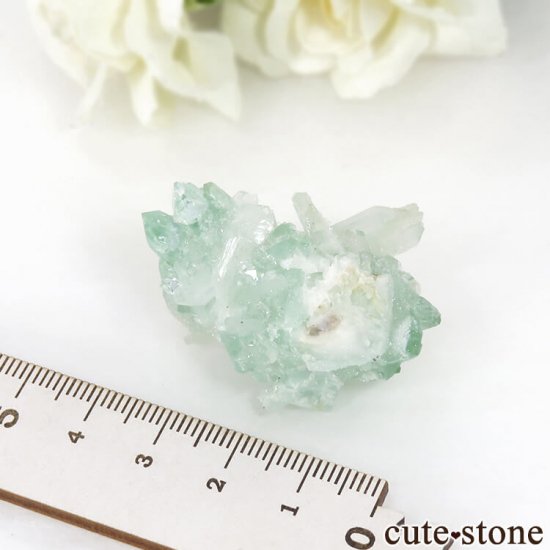  ץ͡ ꡼󥢥ݥե饤Ȥθ 21.6gμ̿6 cute stone