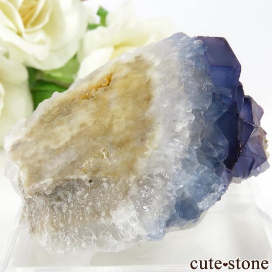 ˥塼ᥭ ֥롼ե饤&Ĥθ 69gμ̿0 cute stone