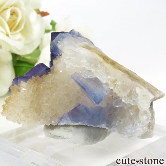 ˥塼ᥭ ֥롼ե饤&Ĥθ 69gμ̿1 cute stone