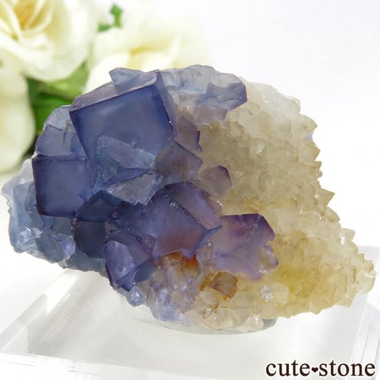 ˥塼ᥭ ֥롼ե饤&Ĥθ 69gμ̿2 cute stone
