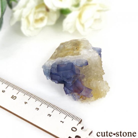 ˥塼ᥭ ֥롼ե饤&Ĥθ 69gμ̿4 cute stone