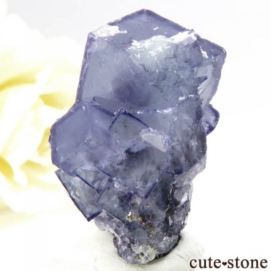 䥪󥷥 ֥롼ե饤 17.5gμ̿1 cute stone