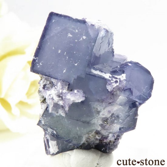 䥪󥷥 ֥롼ե饤 17.5gμ̿2 cute stone