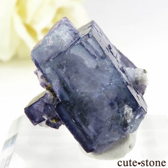 䥪󥷥 ֥롼ե饤 8.2gμ̿0 cute stone