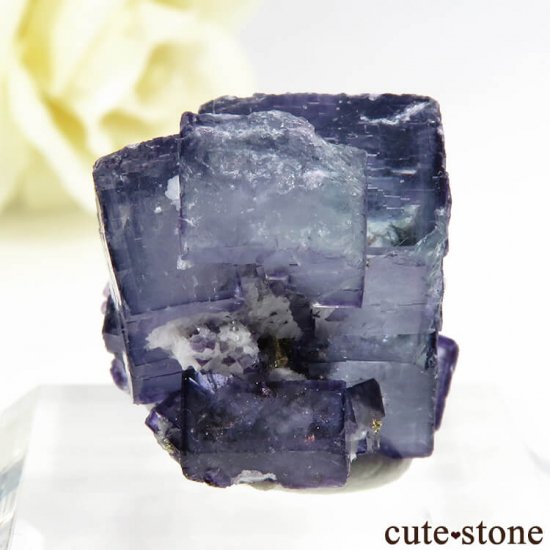䥪󥷥 ֥롼ե饤 8.2gμ̿1 cute stone