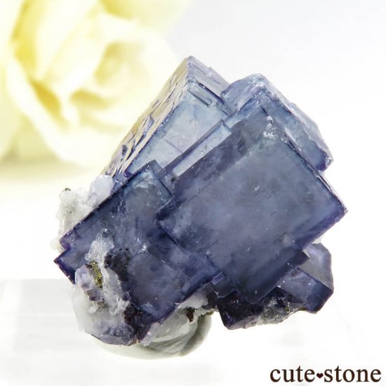 䥪󥷥 ֥롼ե饤 8.2gμ̿2 cute stone
