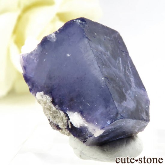 䥪󥷥 ֥롼ե饤 9.1gμ̿0 cute stone
