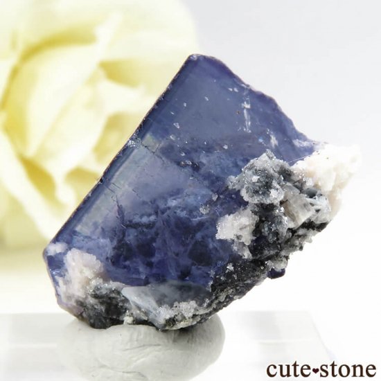 䥪󥷥 ֥롼ե饤 9.1gμ̿1 cute stone
