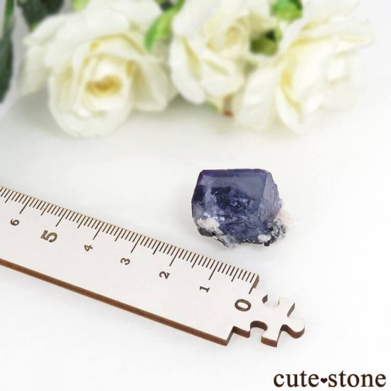 䥪󥷥 ֥롼ե饤 9.1gμ̿3 cute stone