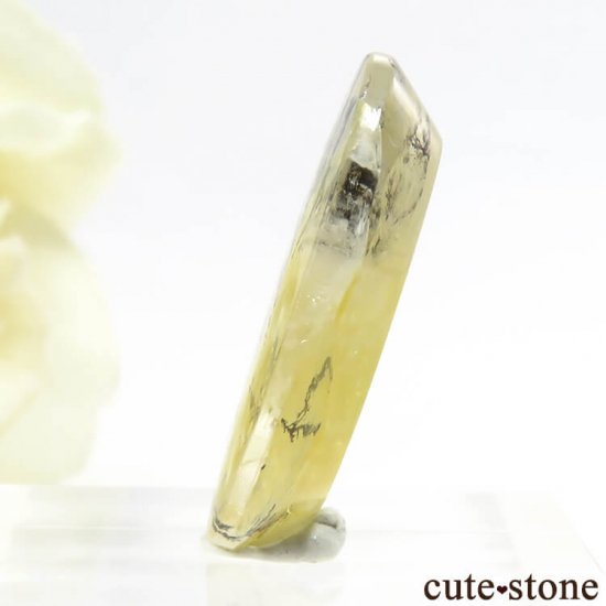֥饸뻺 ǥɥƥåĤΥ롼 13ctμ̿2 cute stone