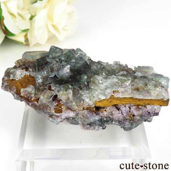 ʥߥӥ Okorusu Mine֥롼꡼ե饤Ȥθ 85.4gμ̿0 cute stone