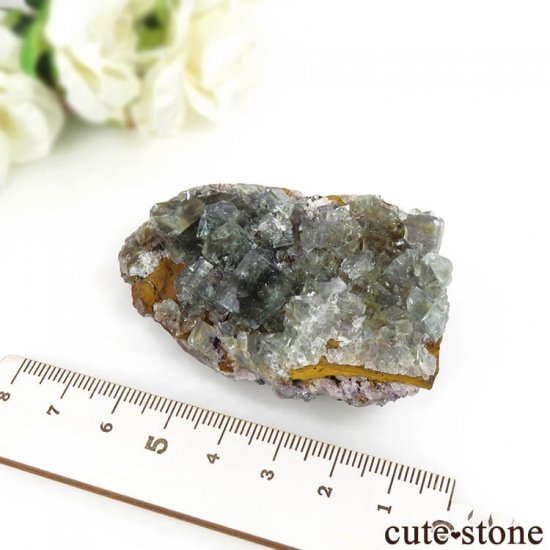 ʥߥӥ Okorusu Mine֥롼꡼ե饤Ȥθ 85.4gμ̿5 cute stone