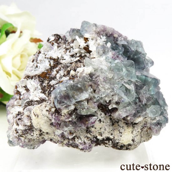 ʥߥӥ Okorusu Mine֥롼꡼ե饤Ȥθ 121gμ̿0 cute stone