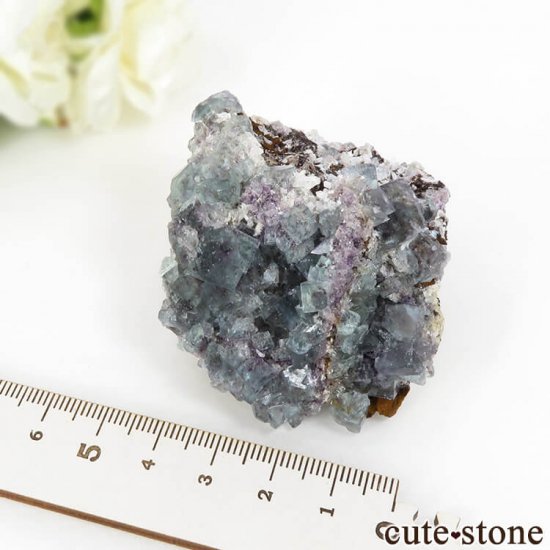 ʥߥӥ Okorusu Mine֥롼꡼ե饤Ȥθ 121gμ̿5 cute stone