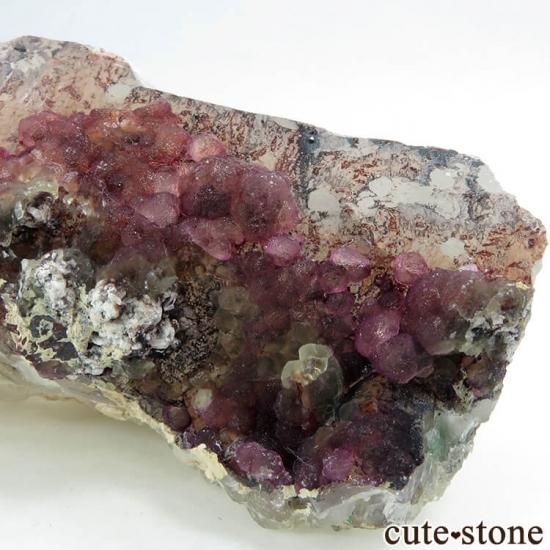 եꥫ ե饤ȡإޥ徽μ̿1 cute stone