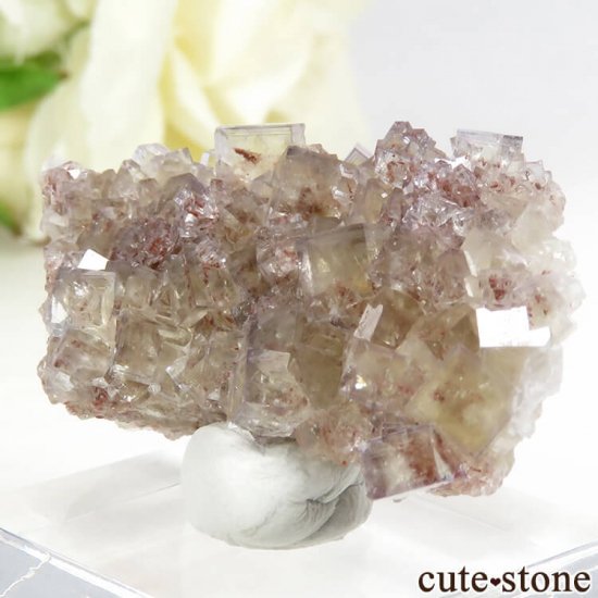 ɥ Frohnau ե饤 14gμ̿0 cute stone