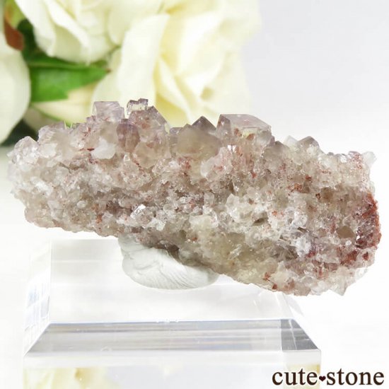 ɥ Frohnau ե饤 14gμ̿1 cute stone