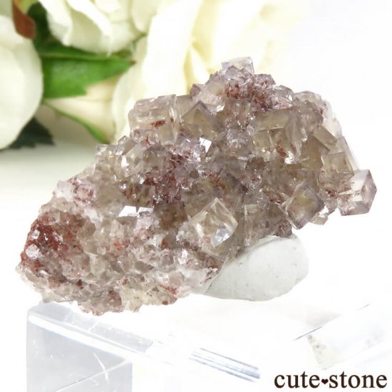 ɥ Frohnau ե饤 14gμ̿2 cute stone