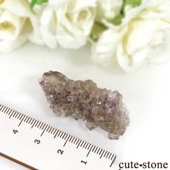 ɥ Frohnau ե饤 14gμ̿4 cute stone