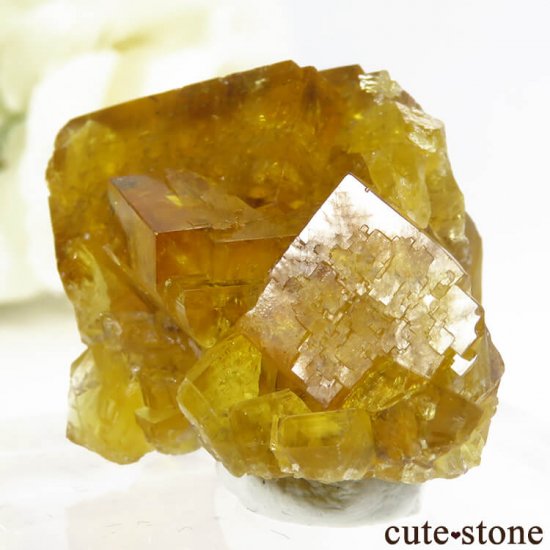ɥ Frohnau ե饤 28gμ̿0 cute stone