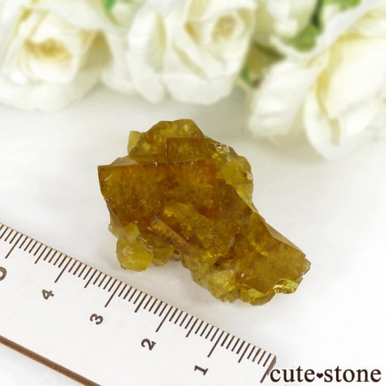 ɥ Frohnau ե饤 28gμ̿5 cute stone