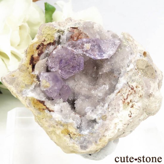 ɥĻ᥸Ȥդ 31gμ̿2 cute stone