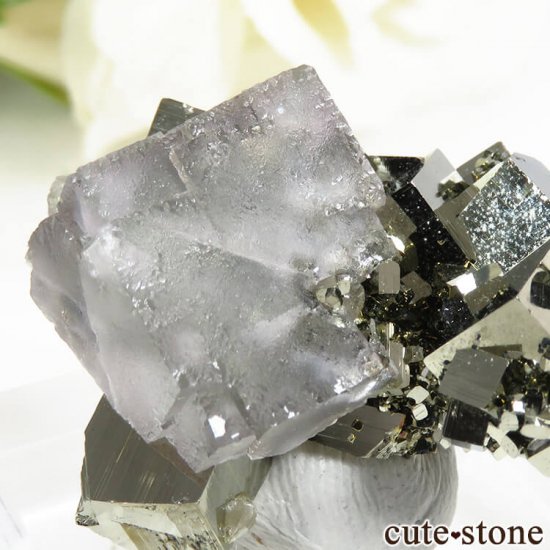 ڥ롼 Huanzala Mine ե饤ȡѥ饤 16.5gμ̿3 cute stone
