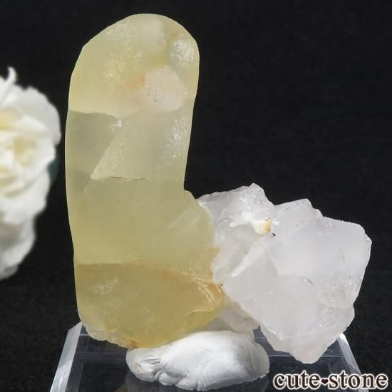 Υե饤ȡĤθ ɻ 55.6g