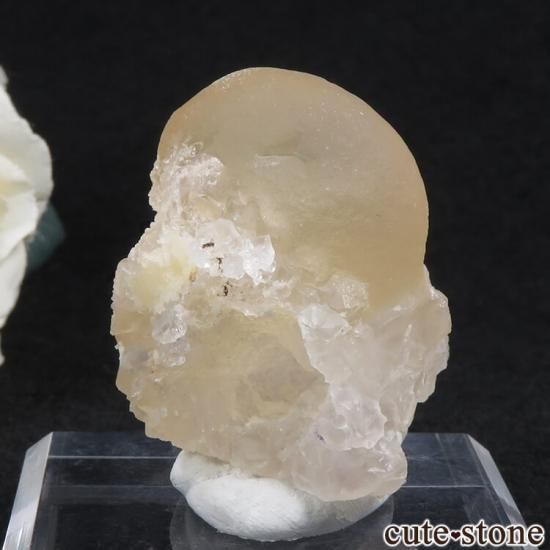 Υե饤ȡĤθ ɻ 50.9gμ̿0 cute stone